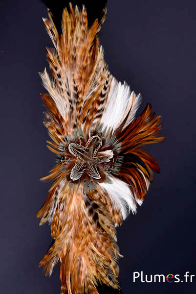 Entdecken Sie die Neuheiten